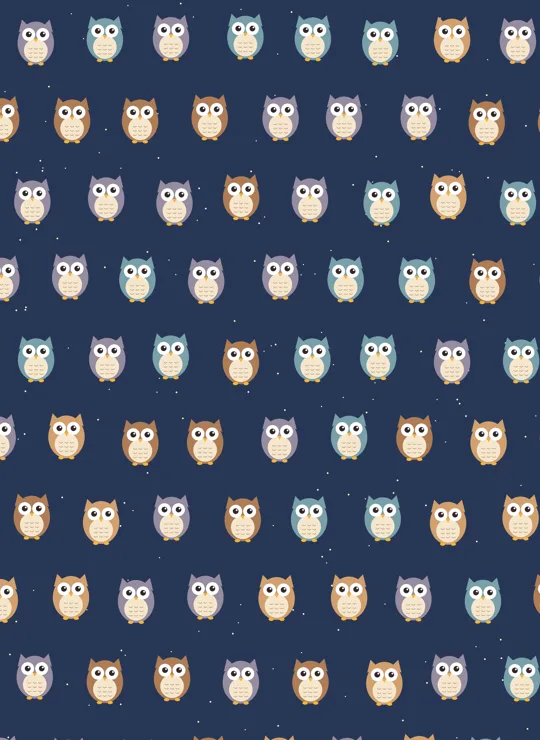 Owls bookmark design